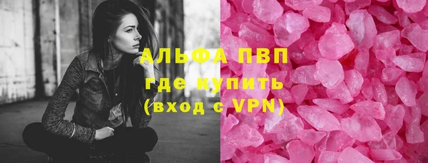 PSILOCYBIN Бородино