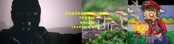 дурь Краснослободск