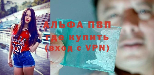 PSILOCYBIN Бородино
