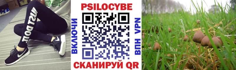 Галлюциногенные грибы MAGIC MUSHROOMS  купить наркотик  Новоржев 